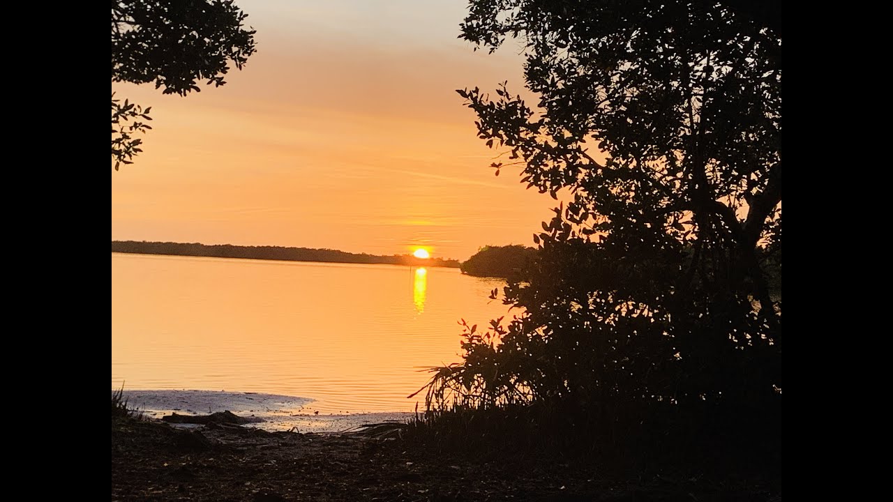 Ft. Desoto Campground Sites 1-85. Some of the best campsites. Sharing information. Beaches, Piers...