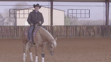 Bud Lyon: Know Your Horse