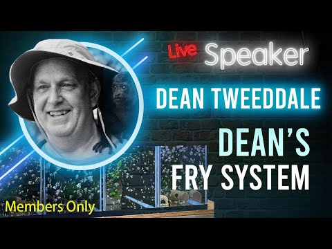 Aquarium Co-Op Club: Dean Tweeddale - DIY Fry System