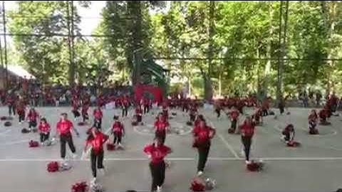 St. francis of assisi school silay city Grade 9 performance (RED Hydra)