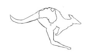 Tribal Kangaroo For Charity