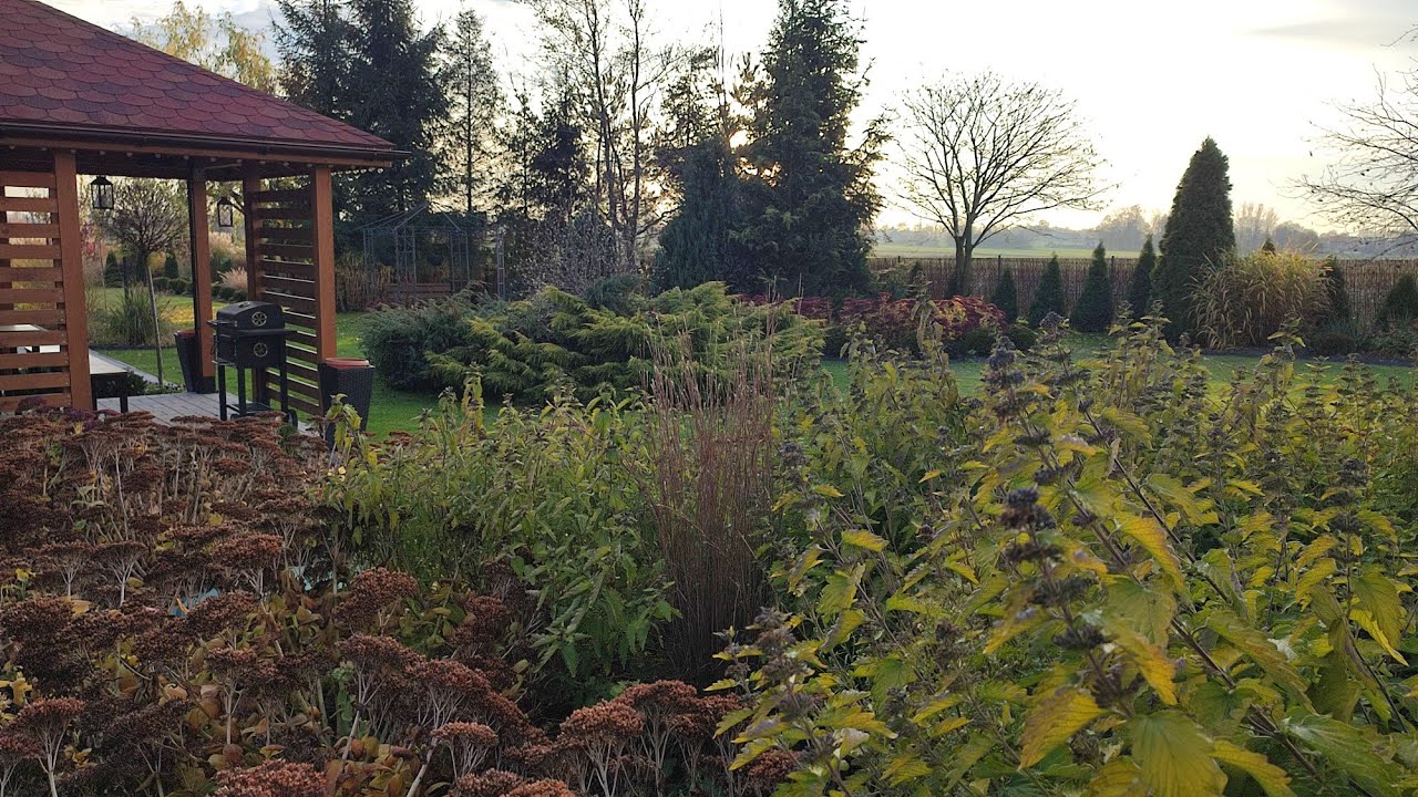 Rabaty ozdobne 🌱🌷🌱🌸🌱🌼 Podsumowanie sezonu 2025