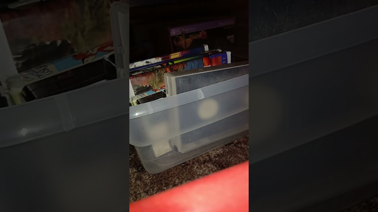 Me and my cat Loki are playing hide and seek 🤣🤣🤣