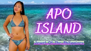 Apo Island - Jewel Of The Philippines