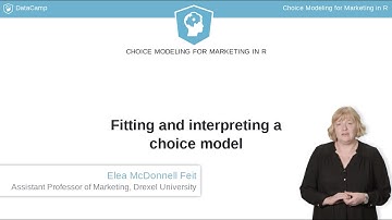 R Tutorial: Fitting and interpreting a choice model