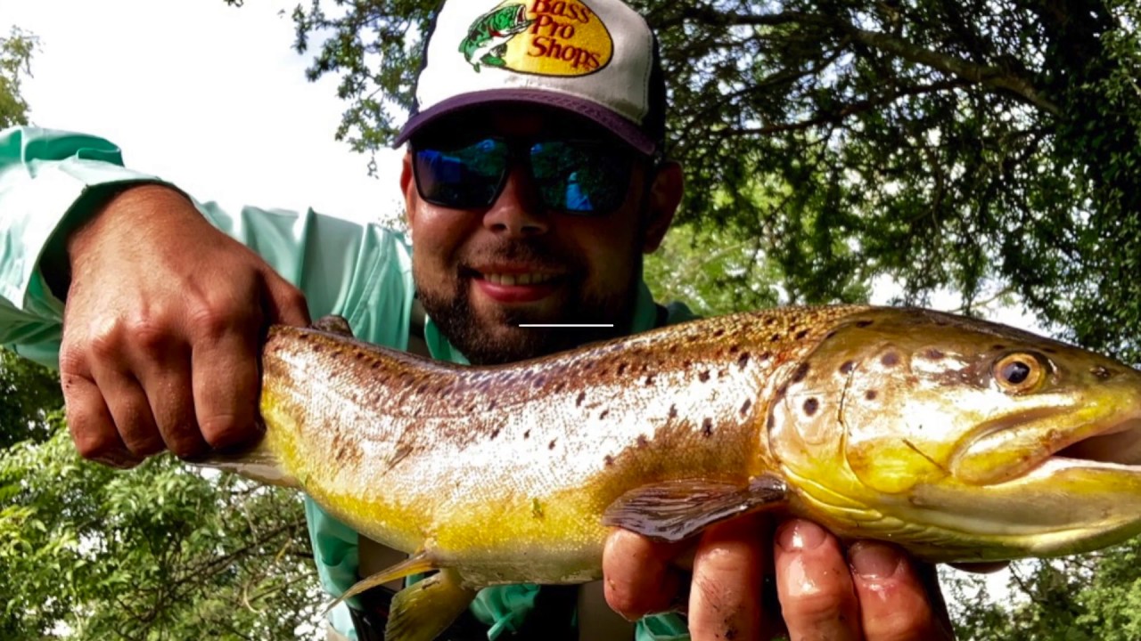 BIG Brown Trout UK Lure Fishing river Avon YouTube