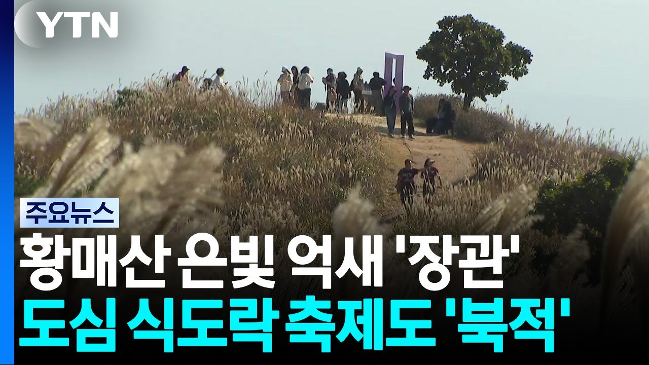 황매산 은빛 억새 '장관'...도심 식도락 축제 '북적' / YTN