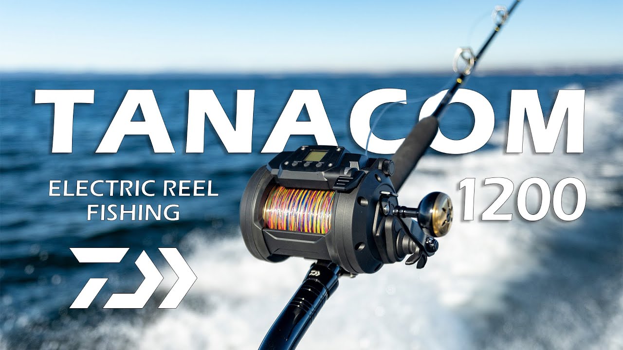 Daiwa Tanacom 1200 - Electric Reel Fishing 