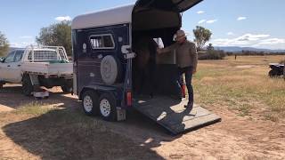 Trailer Loading: Preparation For A Young Filly