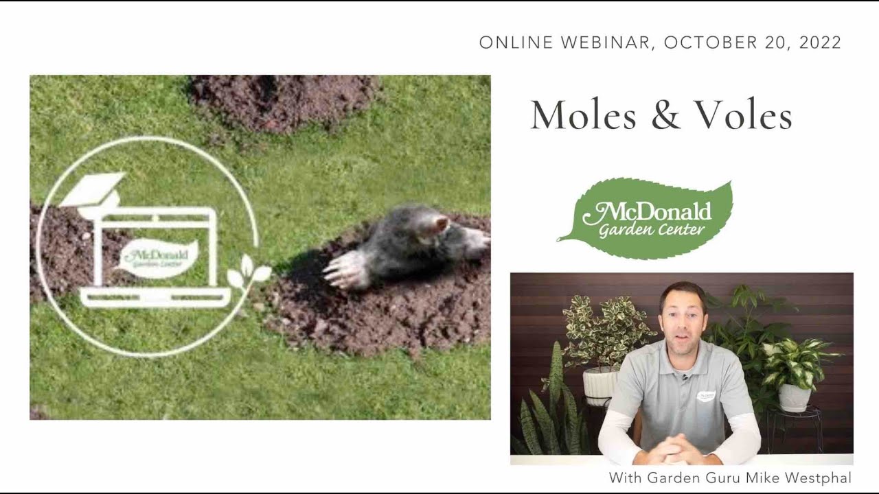 The Solution to Moles & Voles
