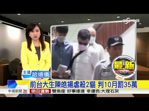 前台大生陳皓揚虐殺2貓 判10月罰35萬│中視新聞 20161013