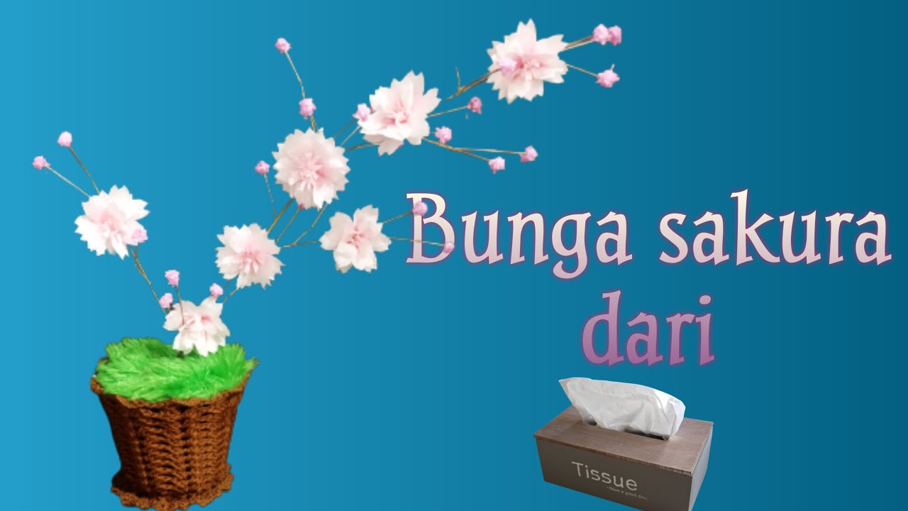 Sakura ?! cara membuat bunga sakura dari tisu #how to make cherry ...
