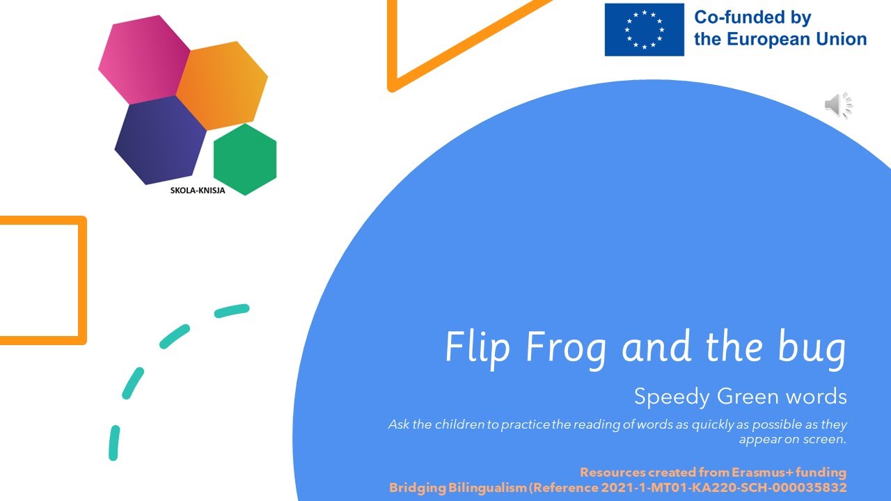 3.7 Flip Frog and the Bug words