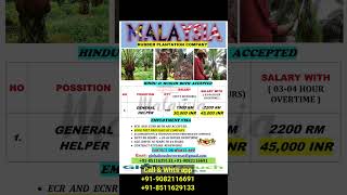Malaysia Plantation job ! Employment visa !