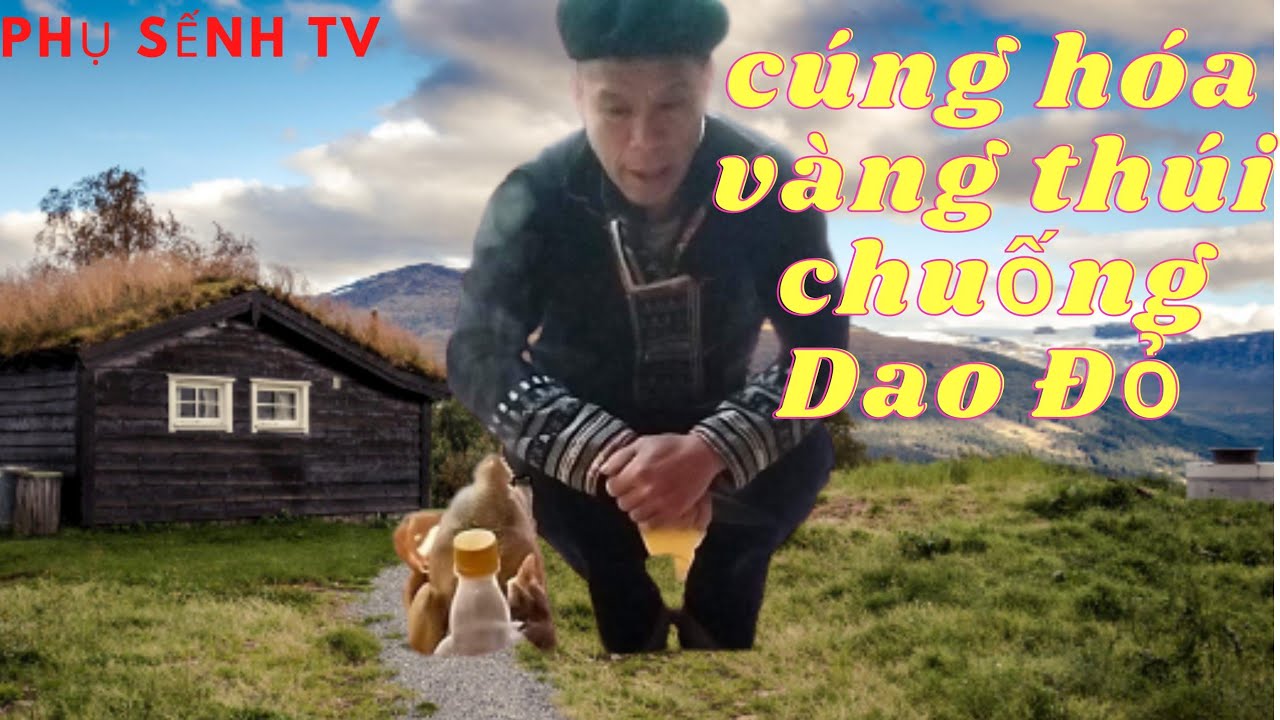 iu miền thúi chuống hóa vàng Phụ Sếnh TV #iumien #phusenhtv #iumienh