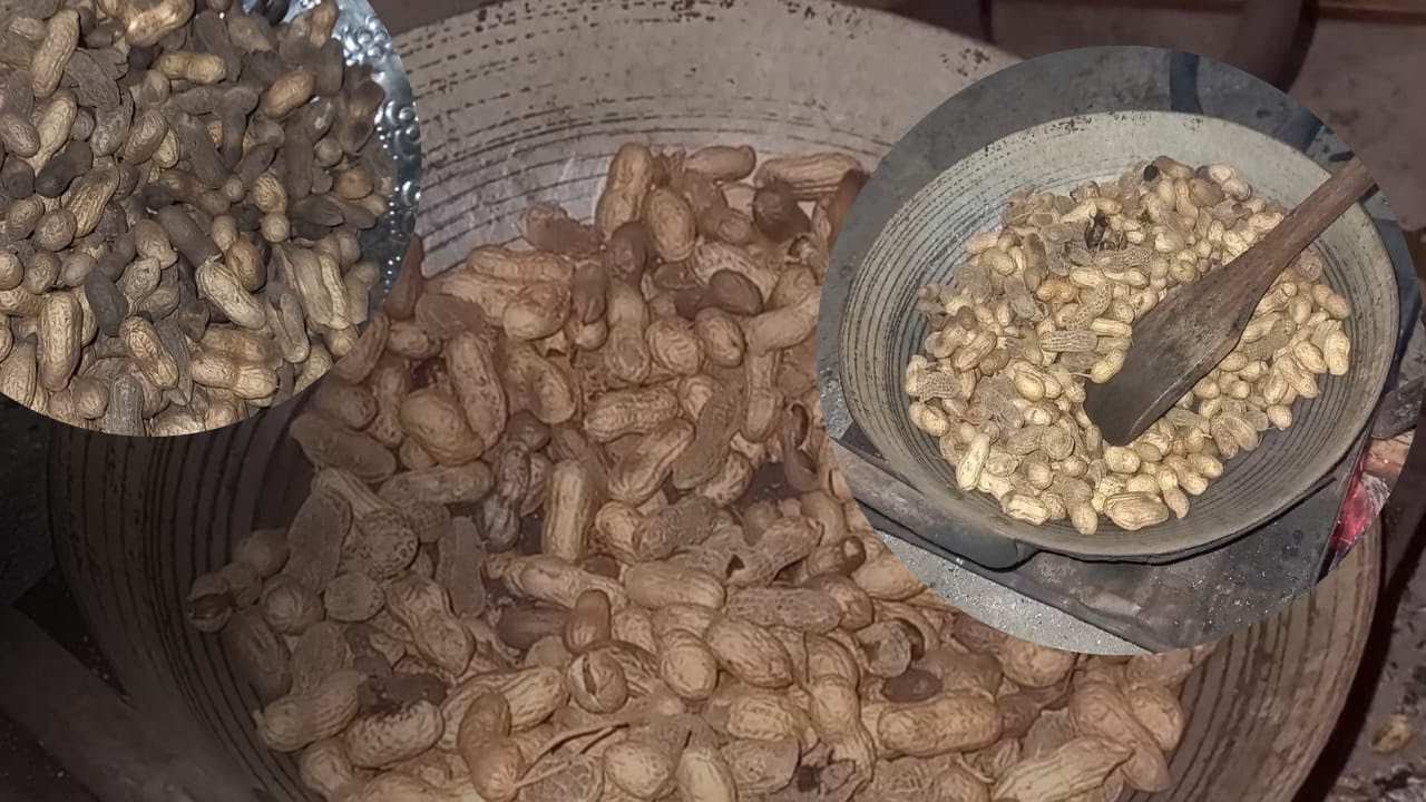Roasted Peanuts | How to roast Peanuts Village style? | Quick Recipe | Village life Pakistan