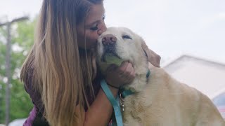 Join the Team at Manlius Veterinary Hospital
