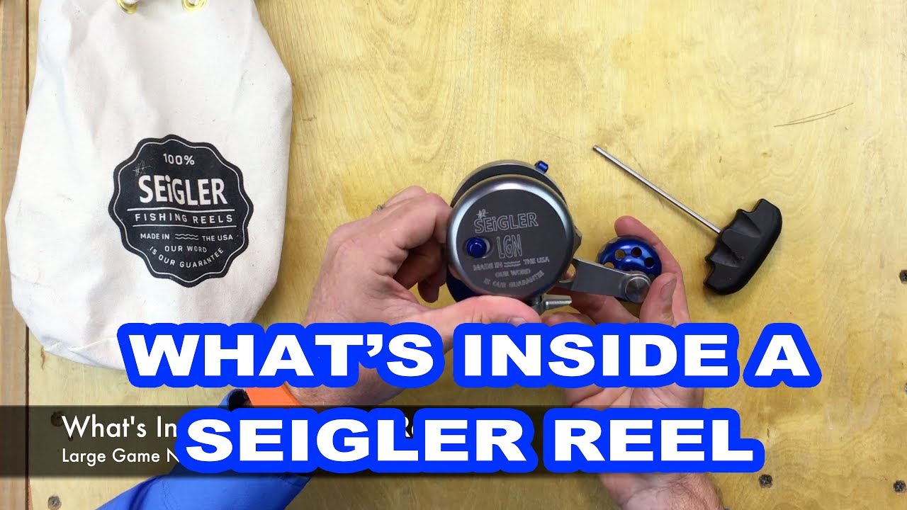 What's Inside a Fishing Reel? 