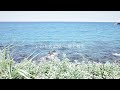 ♦︎ジブリ・かぐや姫の物語♦︎いのちの記憶/二階堂和美