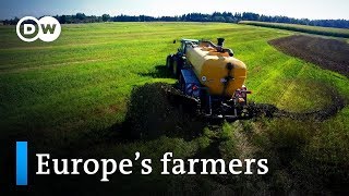 Can farmers grow money? | DW Documentary