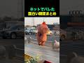 ネットでバレた面白い瞬間まとめ🤣🤣😂 #fun #funny #funnyvideos