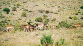 South Africa slide show