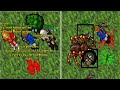 THE FIRST OLD WIDOW KILLED IN TIBIA (Chimera 2005 7.5)