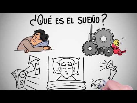 Video: El Sueño Adecuado Es La Clave Para La Salud Y El Desarrollo Exitoso