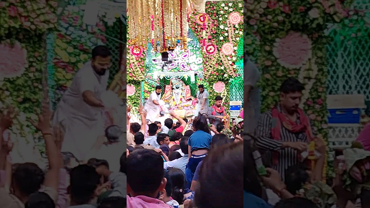 Baanke Bihari ke Darshan|| 