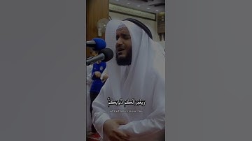 سورة الاحزاب مشاري العفاسي #مشاري_العفاسي #سورة_الاحزاب  #القرآن #misharyrashidalafasy #quran #islam