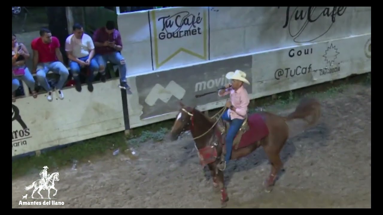 Cesar Orellana La culpa la tuvo usted