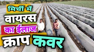 मिर्ची में वायरस क्राप कवर से नहीं आता|How to Use Crop Cover In Chilli Farming| Uses of Crop Cover|