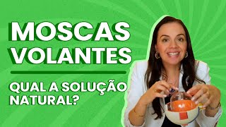 Moscas Volantes qual a solução natural?