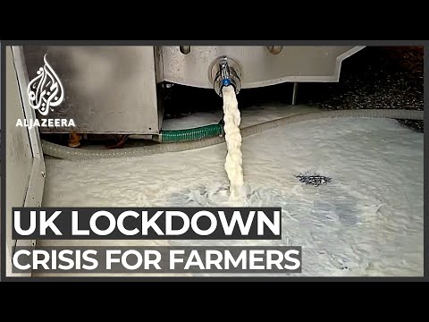 UK farmers forced to throw away fresh produce