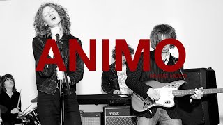 Video thumbnail of "The Sukis - Animo (Official Music Video)"