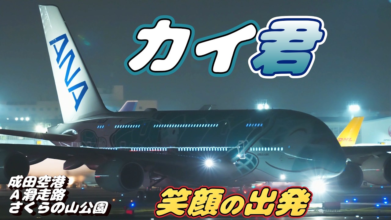 ●Air-bus A380 ／ Flying Honu ／グリーン カイ君 4K】成田空港 さくらの山公園 ANA超巨大旅客機エアバスA380 カイ君