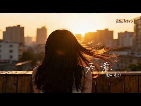 林栖 - 天意 (深情版) - Lin Qi - Tian Yi (Shen Qing Ban)