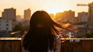 林栖 - 天意 (深情版) - Lin Qi - Tian Yi (Shen Qing Ban)