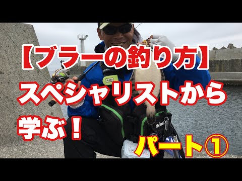 函館 ブラーの釣り方 スペシャリストから学ぶ パート Youtube