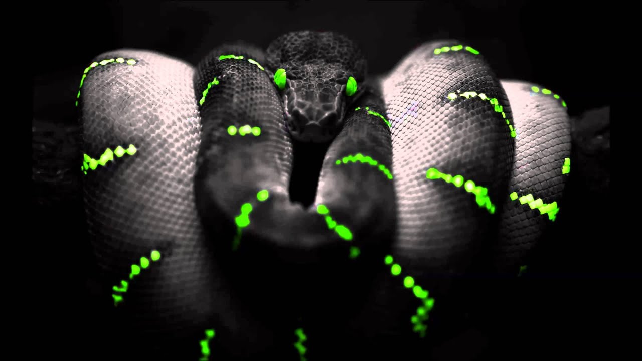 Tommorow Land - YouTube