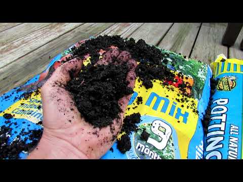 Understanding Bagged Garden Soil Products: What They Are & My Container Mix Recipe