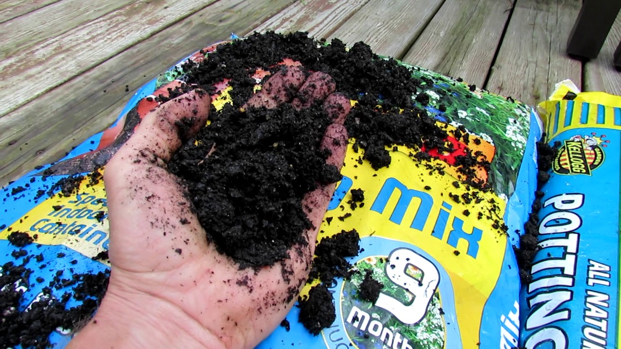 Understanding Bagged Garden Soil Products What They Are & My Container