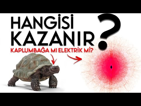 Elektrik Teller Boyunca Akıyor Sanıyorsanız, Yanılıyorsunuz! | Elektrik GERÇEKTEN Nasıl Çalışır?