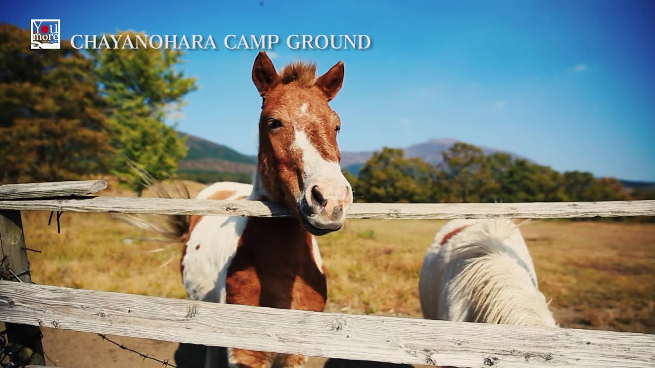 瀬の本高原 茶屋の原キャンプ場 南小国ガイド