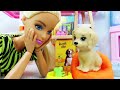 Barbie and Puppy Story - to go to the dog salon