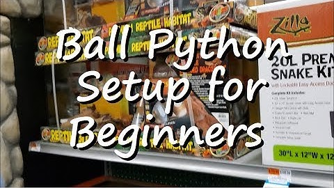Ball Python: Setup an enclosure for you new ball python