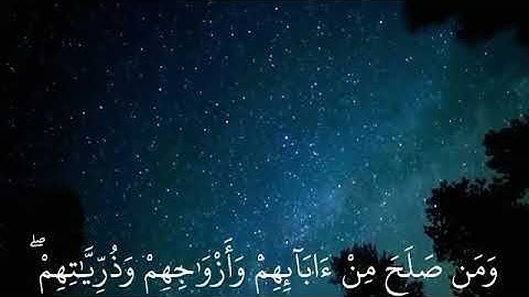 ماهر المعيقلي| حالات واتس اب دينية سورة الرعد🥺