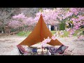 【夫婦デイキャンプ】お花見キャンプできる青野原キャンプ場で春を満喫