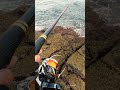 するするスルルー爆速で出ていく道糸