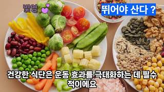 초보 마라토너 5km 매일 달리기 30일 챌린지 효과적인 방법